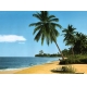Фотообои Komar 8-074 «Африканский пляж» (African Beach), 388 × 270 см, 8 листов №1