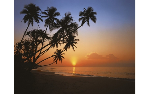 Фотообои Komar 8-030 «Закат в Тропиках» (Tropical Sunset), 388 × 270 см, 8 листов