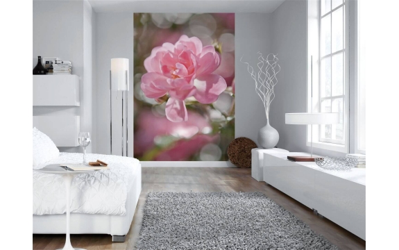 Фотообои Komar 4-713 «Розовый Цветок» (Bouquet), 184 × 254 см, 4 листа №1