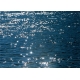 Фотообои Komar 4-518 «Лазурное Море» (Stelle di Mare), 254 × 184 см, 4 листа №1