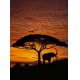 Фотообои Komar 4-501 «Африканский Закат» (African Sunset), 194 × 270 см, 4 листа №1