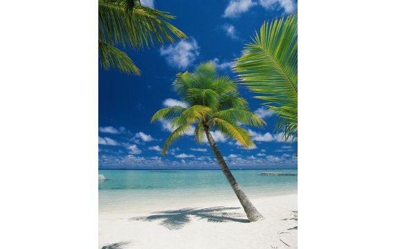 Фотообои Komar 4-883 «Остров в Океане» (Ari Atoll), 184 × 254 см, 4 листа