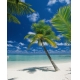 Фотообои Komar 4-883 «Остров в Океане» (Ari Atoll), 184 × 254 см, 4 листа №1