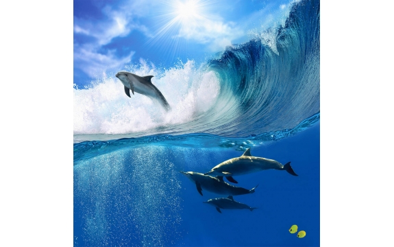 Фотообои FTK-03-00003 Дельфины под волной, подводный мир океана