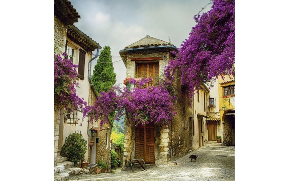 Фотообои FTK-04-00002 Цветущие улочки Прованса, старый город в Европе