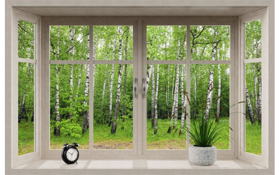 Фотообои MS-00022 Окно с видом на березовый лес