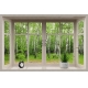 Фотообои MS-00022 Окно с видом на березовый лес №1