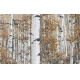 Фотообои FTXL-01-00034 Березовая роща осенью, красивый лес №1
