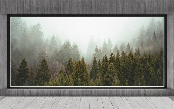 Фотообои MXL-00283 Окно 3D в туманном лесу