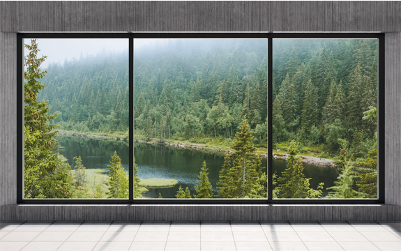 Фотообои MXL-00280 Окно с видом на туманный лес