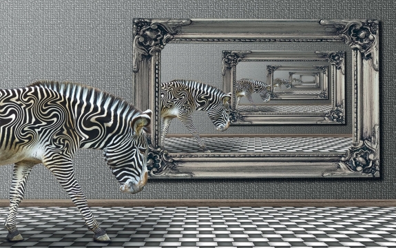Фотообои 3D FTXL-09-00025 Комната с зеброй и зеркалами со стерео эффектом
