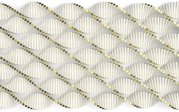 Фотообои 3D MXL-00227 Геометрические спирали с золотом, стереоскопический эффект