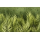 Фотообои MXL-00226 Зеленые пальмовые листья на старом бетоне, объемные 3Д №1
