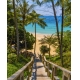 Фотообои FTVV-01-00016 Гавайи, пальмы на морском пляже №1