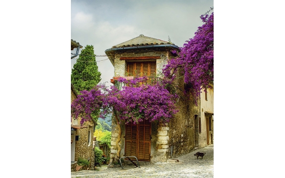 Фотообои FTVV-04-00006 Цветущий дворик Прованса, улица в старинном городе