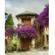 Фотообои FTVV-04-00006 Цветущий дворик Прованса, улица в старинном городе №1