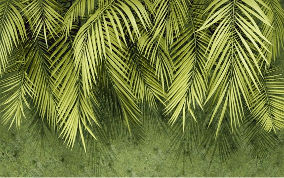 Фотообои MXL-00221 Пальмовые листья большие, зеленые, 3Д