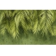Фотообои MXL-00221 Пальмовые листья большие, зеленые, 3Д №1