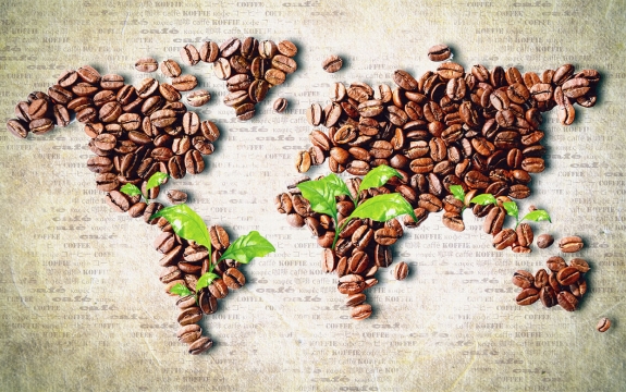 Фотообои 3D FTXL-13-00001 Карта мира из кофе