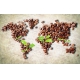 Фотообои 3D FTXL-13-00001 Карта мира из кофе №1