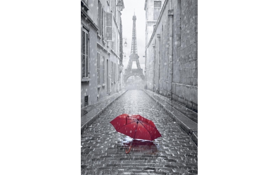 Фотообои FTP-2-04-00048 Дождливый Париж, улица к Эйфелевой башне