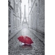 Фотообои FTP-2-04-00048 Дождливый Париж, улица к Эйфелевой башне №1
