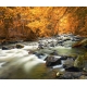 Фотообои FTX-01-00009 Бурная река в осеннем лесу, природа №1