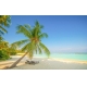 Фотообои FTXL-01-00045 Пальмы на песчаном берегу моря, тихий тропический остров №1