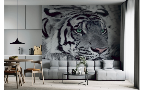 Фотообои FTX-03-00005 Черно-белый тигр с бирюзовыми глазами №1