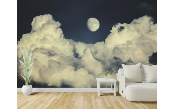 Фотообои MXL-00266 Бежевые облака и Луна в ночном небе №1