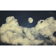 Фотообои MXL-00266 Бежевые облака и Луна в ночном небе №1