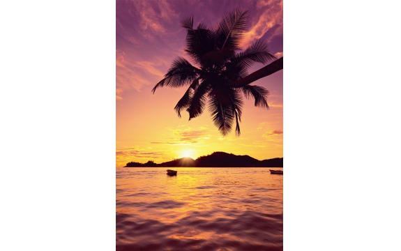 Фотообои FTP-01-00037 Пальма и тропический закат на море