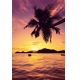 Фотообои FTP-01-00037 Пальма и тропический закат на море №1
