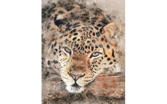 Фотообои FTVV-03-00009 Картина с леопардом