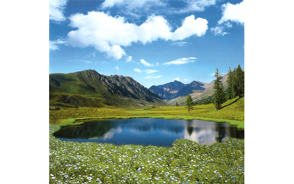 Фотообои Твоя Планета «Озеро в цветах», Люкс, 204 × 194 см, 6 листов