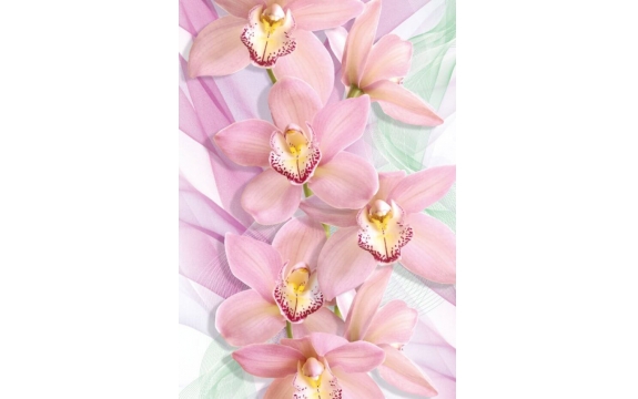 Фотообои Твоя Планета «Орхидеи», Премиум, 136 × 194 см, 4 листа