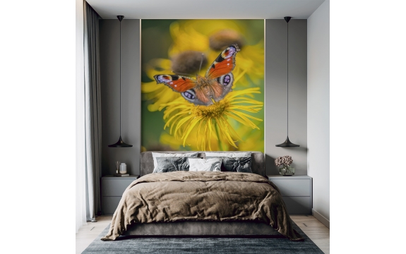 Фотообои MVV-00011 Красивая бабочка в цветах №1