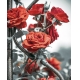 Фотообои MVV-00015 Красные вьющиеся розы №1