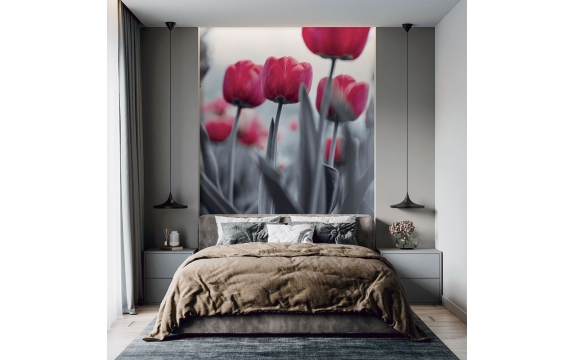 Фотообои MVV-00019 Розовые тюльпаны в черно-белом №1