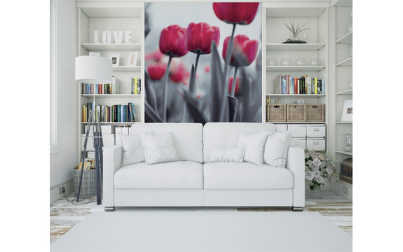Фотообои MVV-00019 Розовые тюльпаны в черно-белом №2