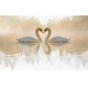 Фотообои MXL-00208 Лебеди на озере в лесу в стиле двойной экспозиции №1