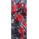 Фотообои MV-00001 Красивые красные розы на черно-белом фоне №1