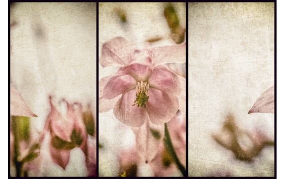Фотообои ML-00022 Винтажный цветок
