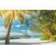 Фотообои FTXL-01-00064 Тропический пляж с пальмами у моря №1