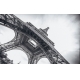 Фотообои FTXL-04-00018 Черно-белая Эйфелева башня в Париже №1