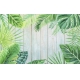 Фотообои FTXL-01-00067 Тропические пальмовые листья и монстера на досках №1