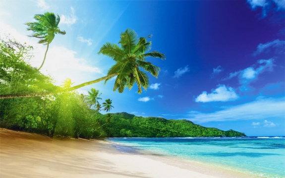 Фотообои FTXL-01-00071 Пляж на море, пальмы на берегу под солнцем