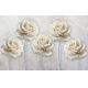Фотообои 3D FTXL-09-00108 Кремовые розы со стереоскопическим эффектом №1
