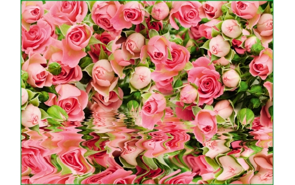 Фотообои бумажные VIP VOSTORG Великолепие (Розовые розы над водой, цветы) - A059, 268 × 196 см
