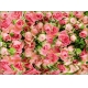 Фотообои бумажные VIP VOSTORG Великолепие (Розовые розы над водой, цветы) - A059, 268 × 196 см №1